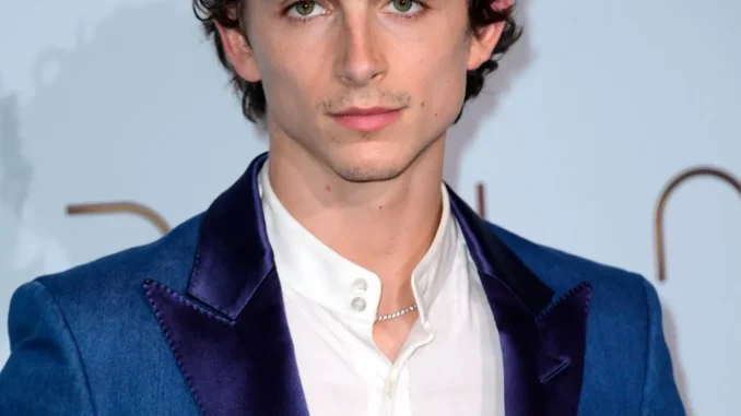 Timothée Chalamet Biography